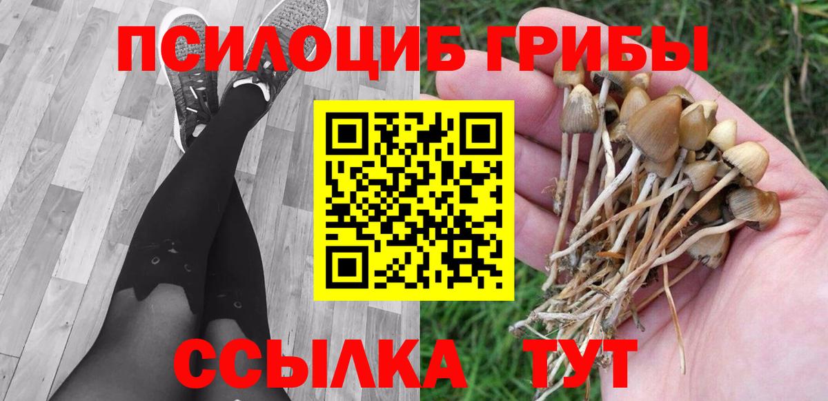 Волоколамск  Галлюциногенные грибы мухоморы  купить наркотик  Вход с VPN  Галлюциногенные грибы мицелий 